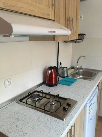 Фото номера Апартаменты с видом на горы Апарт-отели Apartaments in Karpaty г. Межгорье 3