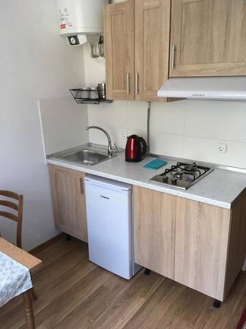 Фото номера Апартаменты с видом на горы Апарт-отели Apartaments in Karpaty г. Межгорье 7