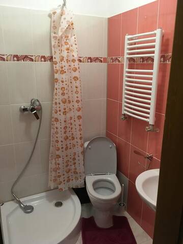 Фото номера Апартаменты с видом на горы Апарт-отели Apartaments in Karpaty г. Межгорье 5